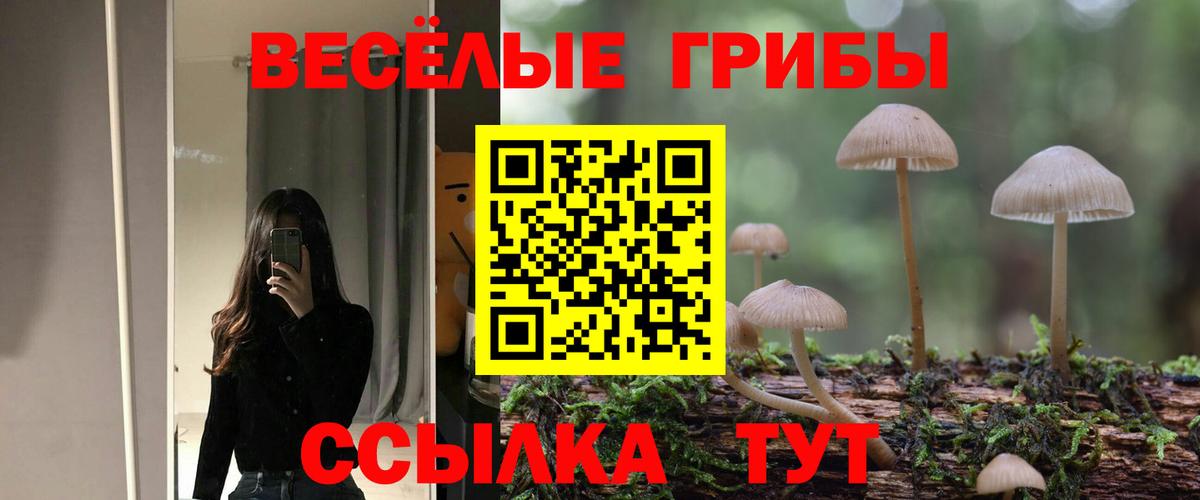 Галлюциногенные грибы ЛСД Новокубанск