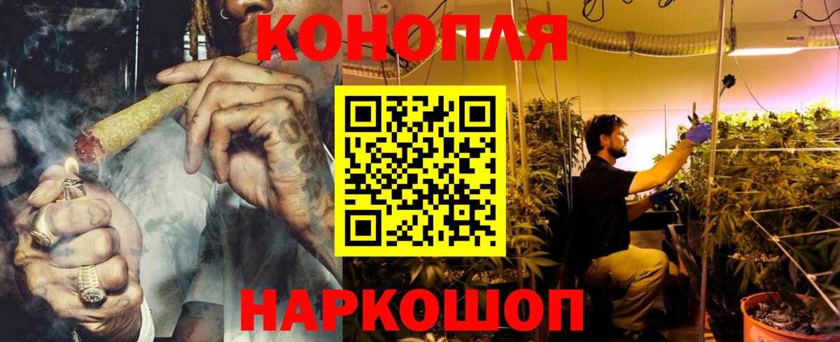 Бошки марихуана семена Новокубанск